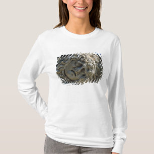 Camiseta Cabeça do Medusa