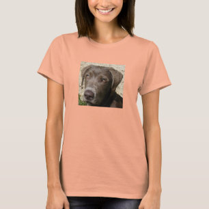 Camiseta Cabeça molhada do laboratório grande