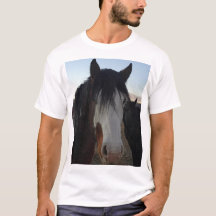 Camiseta Cabelo nos Olhos