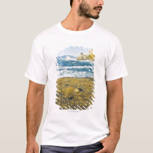 Camiseta Cabo Kiwanda e o Oceano Pacífico