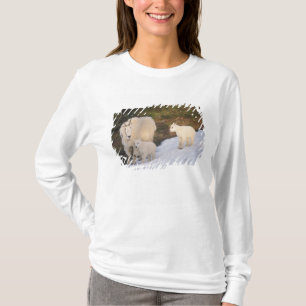 Camiseta cabras montanhosas