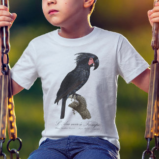 Camiseta Cacatua-de-bico-longo, Probosciger aterrimus papag