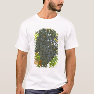 Camiseta cacho de uva Cabernet Sauvignon no Chateau