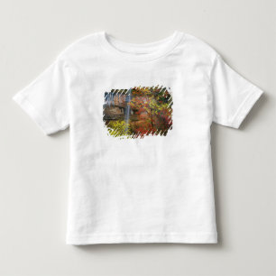Camiseta Cachoeira, bordo de dentes grandes Acer