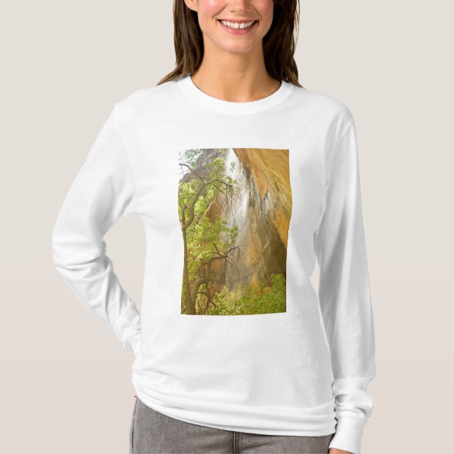 Camiseta Cachoeira do Lower Emerald Pool Rocha vermelha e á (Frente)
