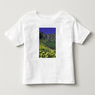 Camiseta Cachoeira e flores silvestres em prado alpino,