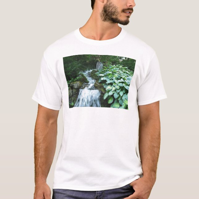 Camiseta Cachoeira e Hostas (Frente)