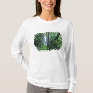 Camiseta Cachoeira Hanakapiai ao longo da Costa Na Pali, Ka