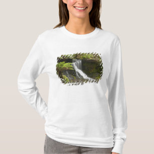 Camiseta Cachoeira Horseshoe, Parque Nacional Mount Field,