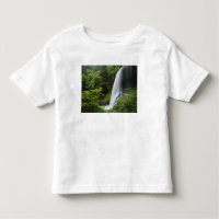 Cachoeira Middle North, Parque Estadual Silver Fal