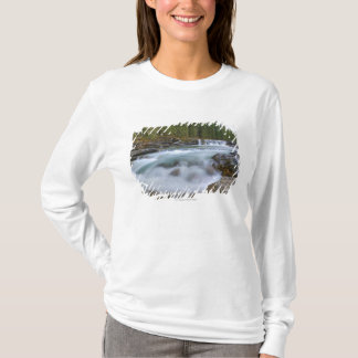 Camiseta Cachoeira no rio dos carneiros em montanhas