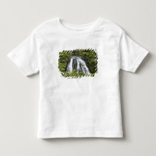 Camiseta Cachoeira Owharoa, Karangahake Gorge, perto de Pae