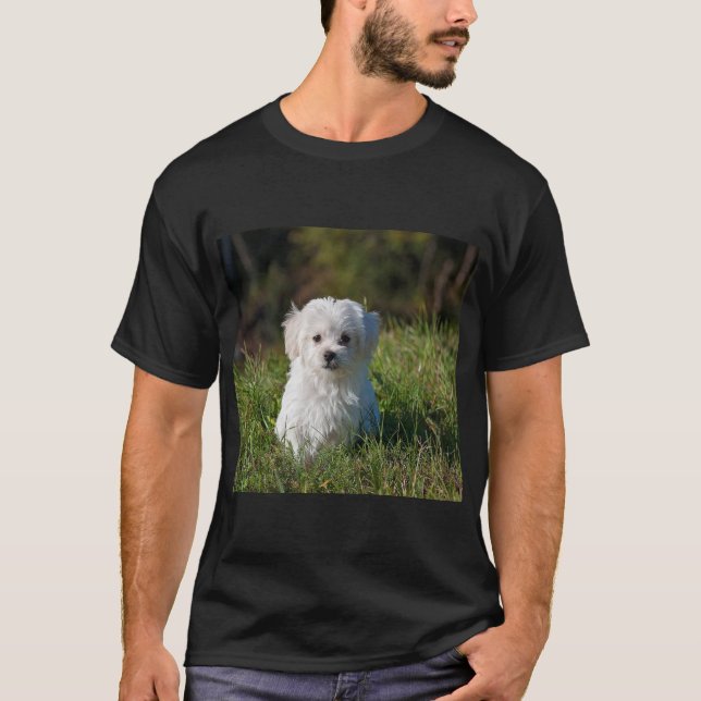 Camiseta Cachorrinho branco fofo (Frente)