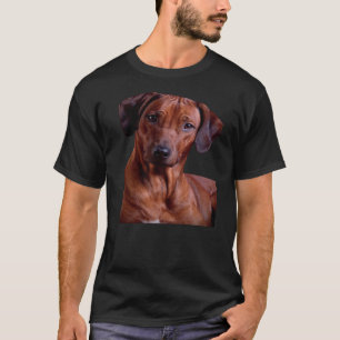 Camiseta Cachorro