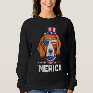 Camiseta Cachorro Beagle Com Óculos De Sol Bandeira America
