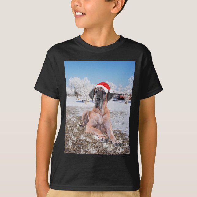 Camiseta Cachorro Bonito Sentado No Chapéu De Natal Da Neve (Frente)