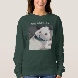 Camiseta Cachorro Branco Bonito Vestindo Scarf Verde