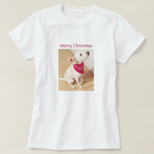 Camiseta Cachorro Branco Bonito Vestindo Scarf Vermelho Fel