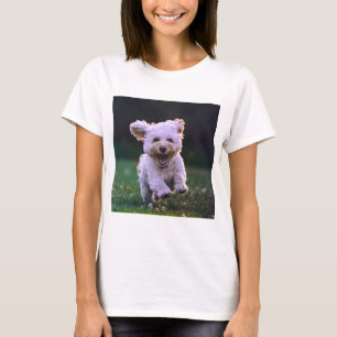 Camiseta Cachorro Branco Corredor