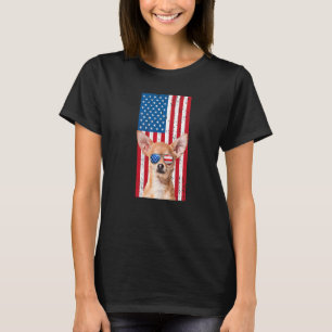 Camiseta Cachorro Chihuahua Para Homens Meninos Marrom Chiw