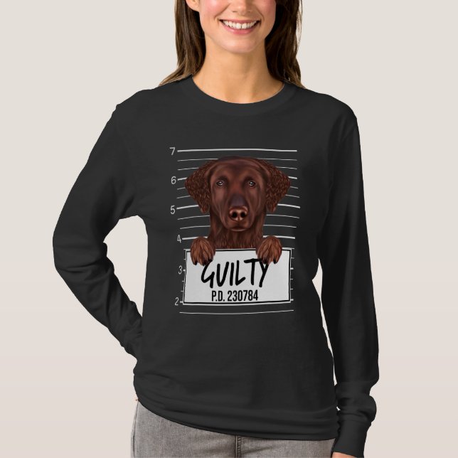 Camiseta Cachorro Culpado do Retriever Curly (Frente)
