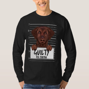Camiseta Cachorro Culpado do Retriever Curly