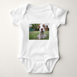 Camiseta Cachorro Curioso