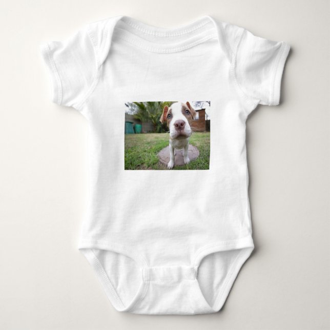 Camiseta Cachorro Curioso (Frente)