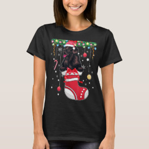 Camiseta Cachorro da Terra Nova e Cuta do Natal