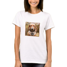 Cachorro Dachshund Marrom com os Olhos Fechados