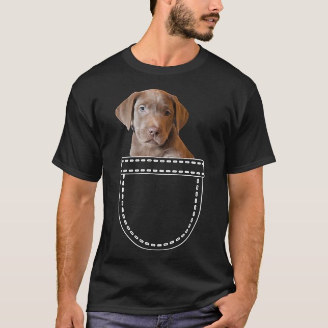 Camiseta Cachorro De Bolso Labrador De Chocolate Num Pó (Frente)