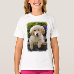 Camiseta Cachorro de Goldie Retriever Foto de Cachorro