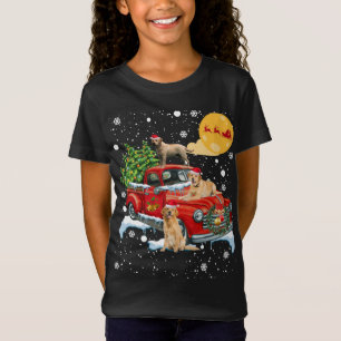 Camiseta Cachorro De Natal Labrador Com Fundição De Caminhã