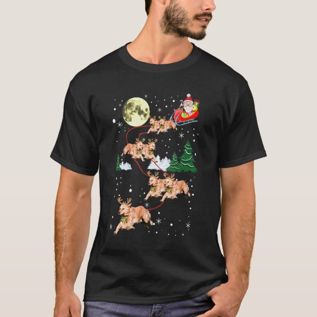 Camiseta Cachorro De Natal Retriever Dourado Renas Engraçad (Frente)