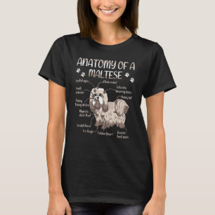 Camiseta Cachorro De Pet Corinto, Definição De Anatomia Ani