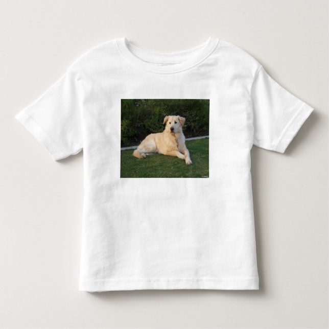 Camiseta Cachorro de Relaxamento (Frente)