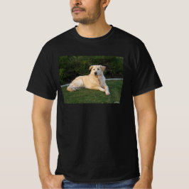 Camiseta Cachorro de Relaxamento