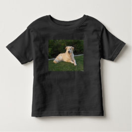 Camiseta Cachorro de Relaxamento