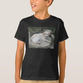 Camiseta Cachorro Descansando Em Uma Rocha