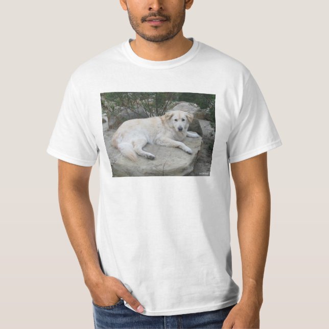 Camiseta Cachorro Descansando Em Uma Rocha (Frente)
