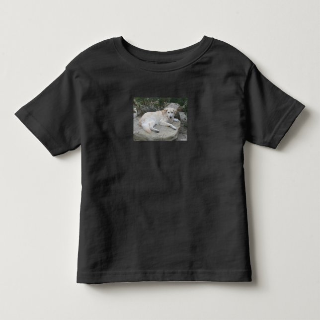 Camiseta Cachorro Descansando Em Uma Rocha (Frente)