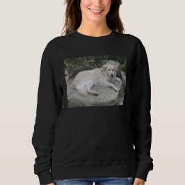 Camiseta Cachorro Descansando Em Uma Rocha