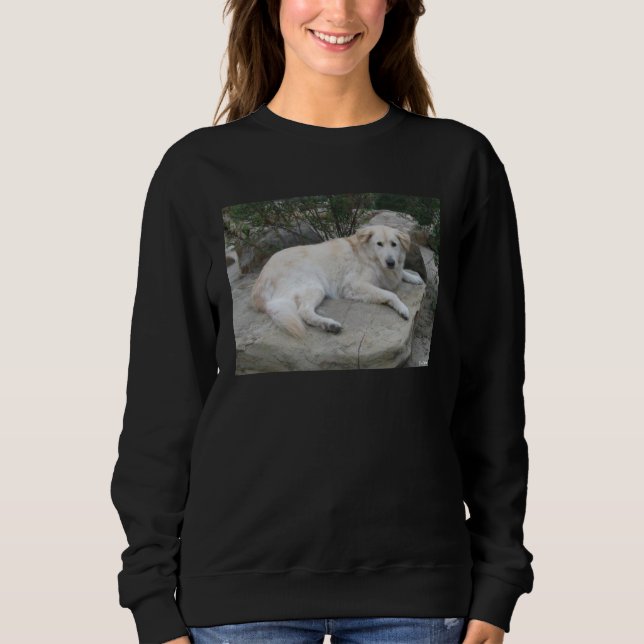 Camiseta Cachorro Descansando Em Uma Rocha (Frente)