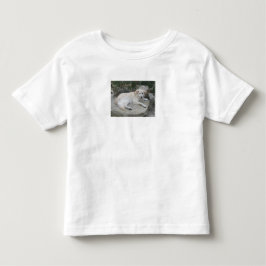 Camiseta Cachorro Descansando Em Uma Rocha