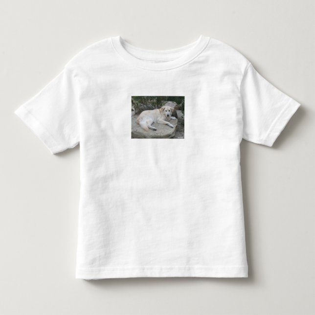 Camiseta Cachorro Descansando Em Uma Rocha (Frente)