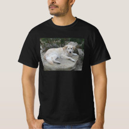 Camiseta Cachorro Descansando Em Uma Rocha