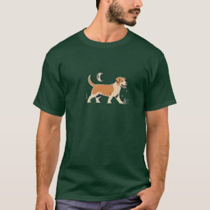 Camiseta cachorro em uma caminhada noturna