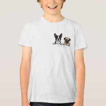 Cachorro fofo de Boston Terrier & Pug para amantes