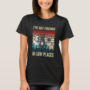Camiseta Cachorro Francês Tenho Amigos em Baixo Lugar