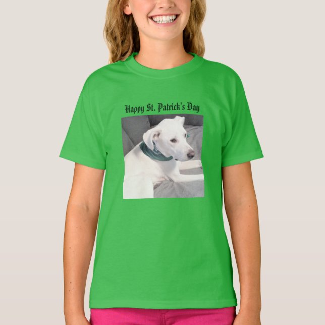 Camiseta Cachorro giro com Rua verde de cachecol. (Frente)